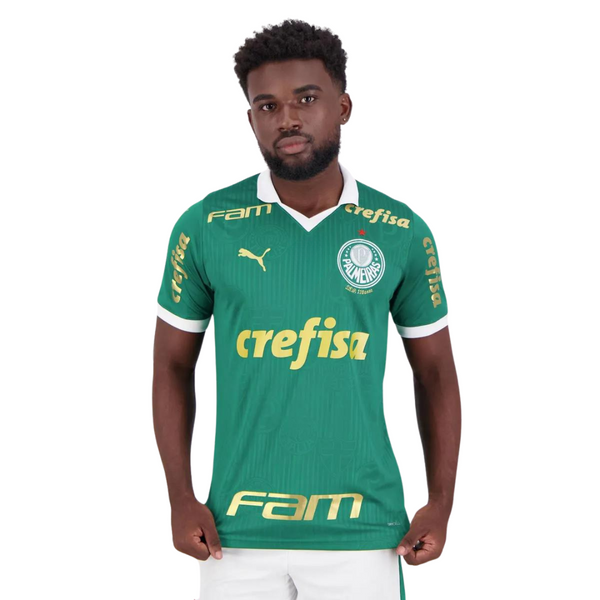 Camisa Palmeiras Todos Patrocinadores 24/25 Home